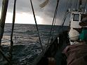 05 PIC00490